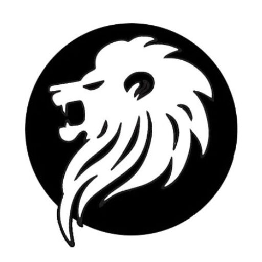 cropped Resort Options International Logo